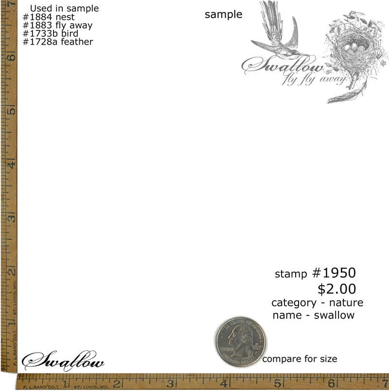 #1950 - Swallow - Nature